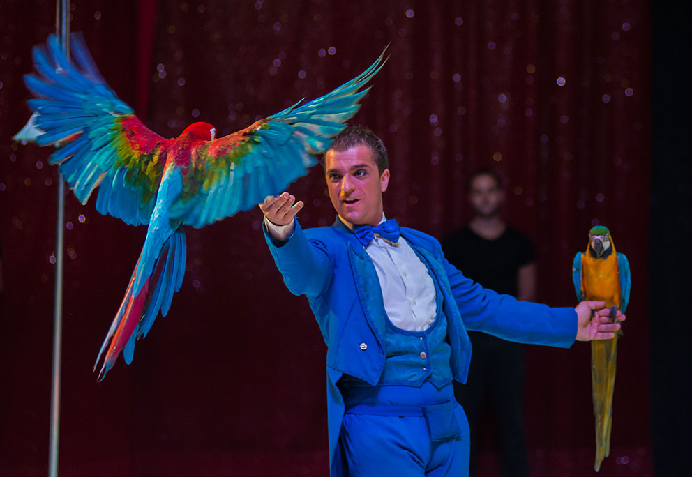 a kép csak illusztráció