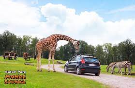 tourismejalhaysart.be