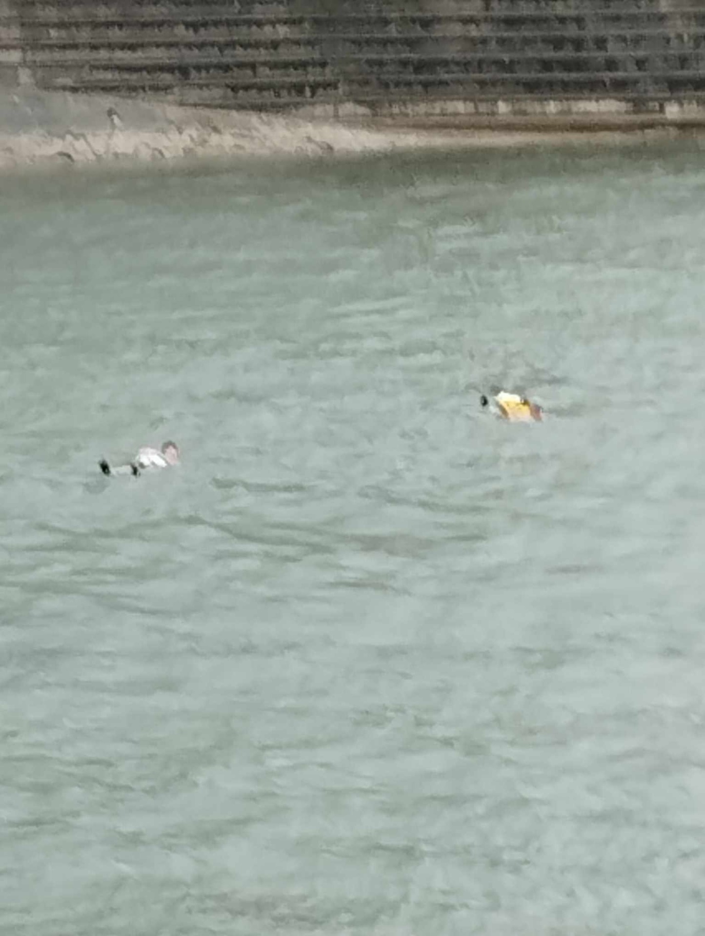 Rajna úszás decemberben