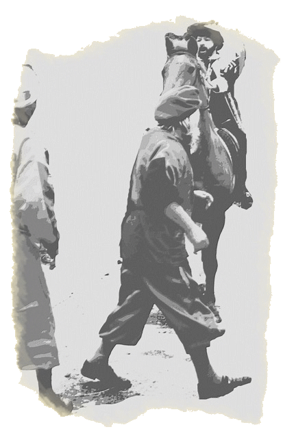 A 3 Auvergneti és V. Károly