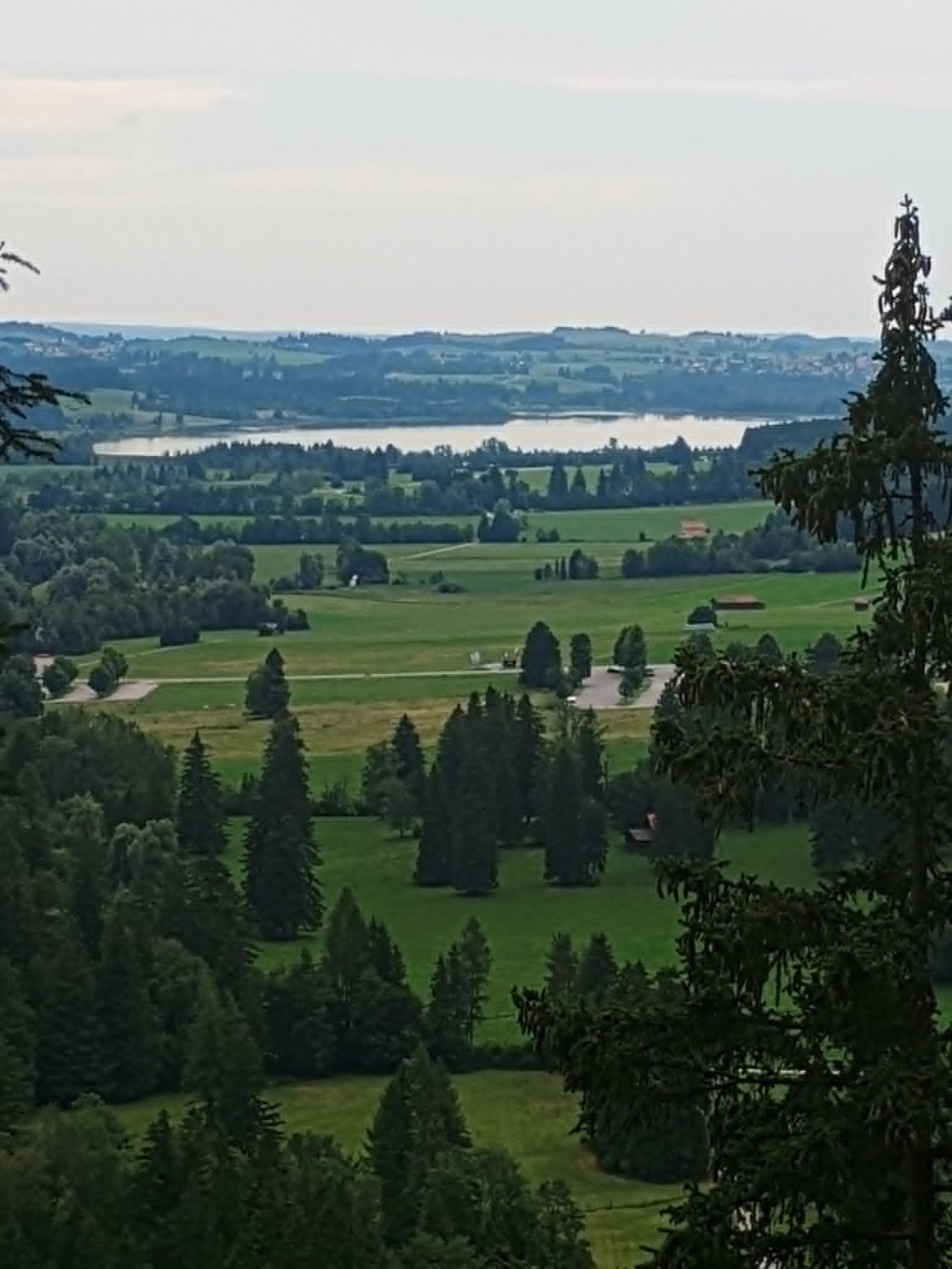A kastély környéke madártávlatból